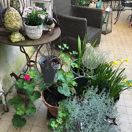 La Mancelle - D'hotes ベッド・アンド・ブレックファスト