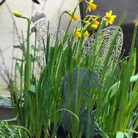 La Mancelle - D'hotes 3*