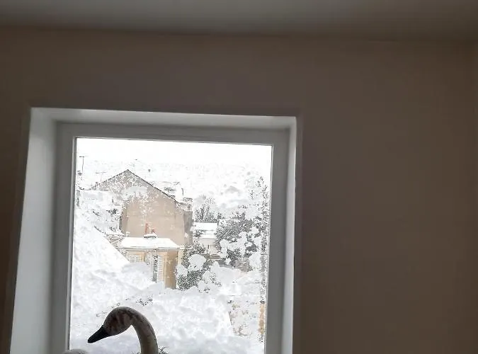 La Mancelle - D'hotes Le Mans