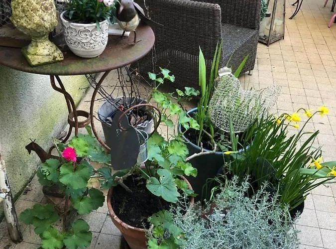 La Mancelle - D'hotes Bed & Breakfast