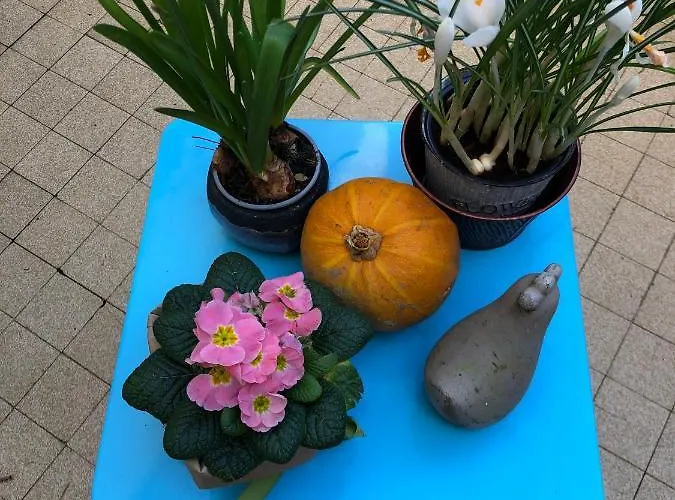 La Mancelle - D'hotes Frühstückspension