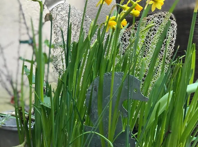 La Mancelle - D'hotes 3*